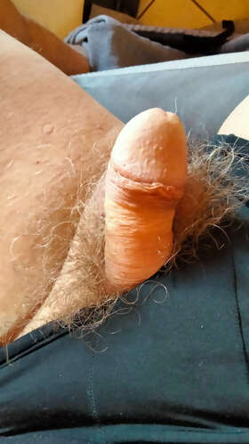 Photos de bites : Ma bite