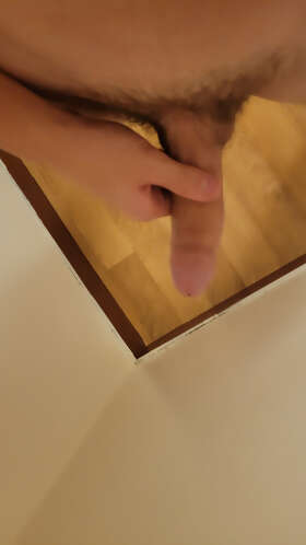 Photos de bites : The first 