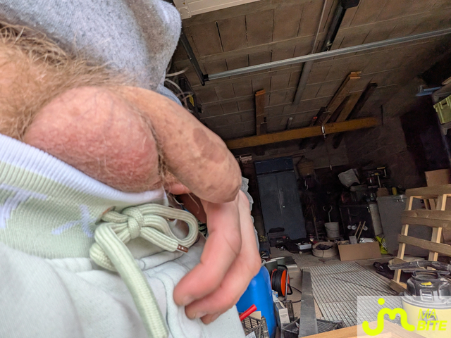 bites de Bitedur54300