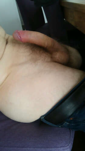 Photos de bites : Première contribution