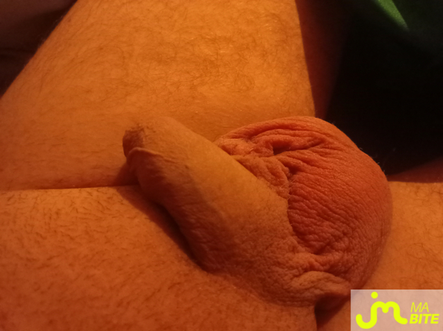 bites de Uniforme5993