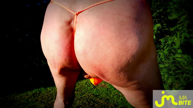 bites de Vxm&acirc;lebi46