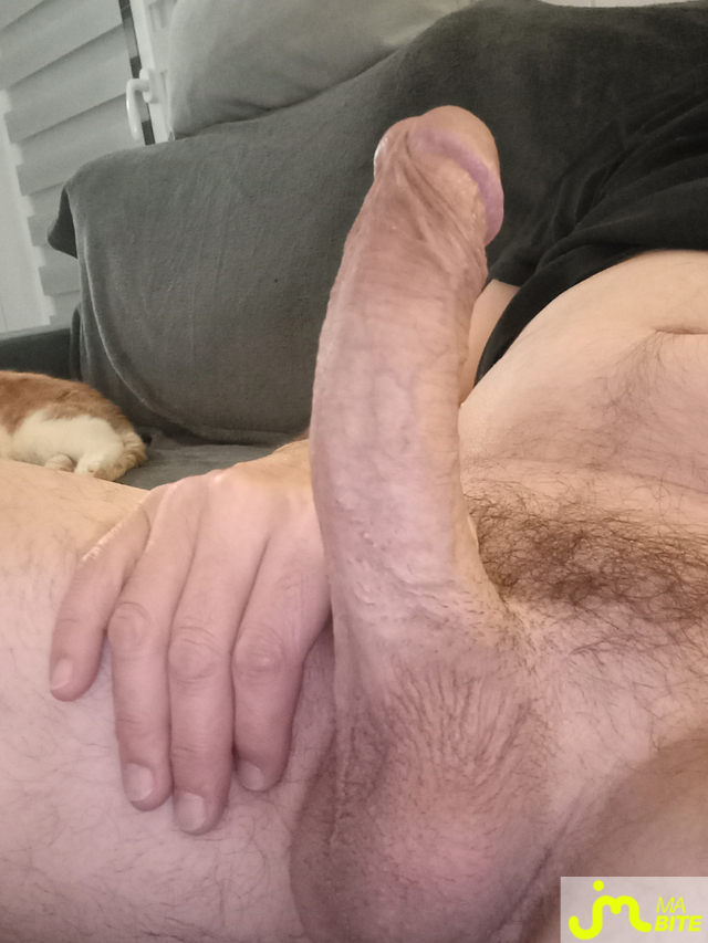 bites de wormsbuzhuc37