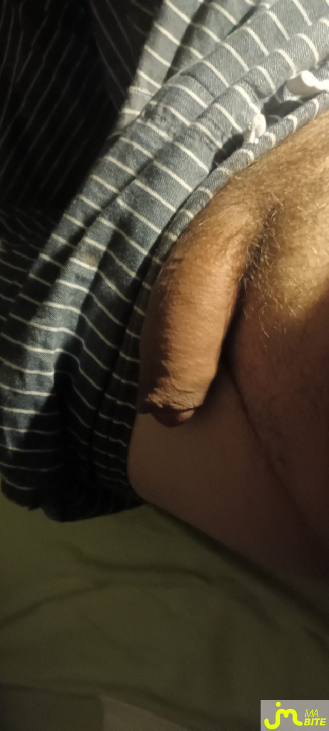 bites de Noix de pécan