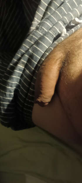 Photos de bites : OK je me lance 