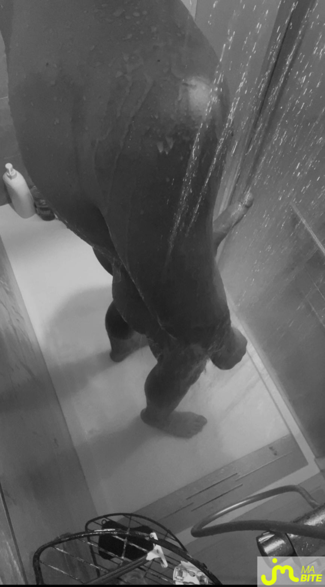 bites de YoungLight00