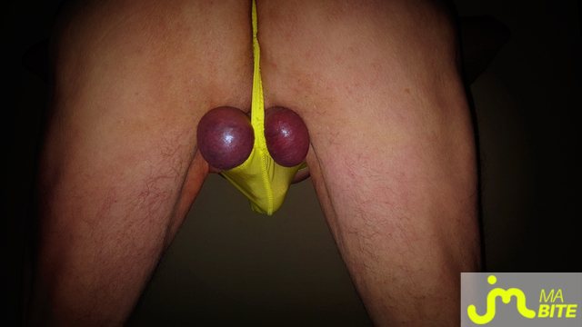 bites de Vxm&acirc;lebi46