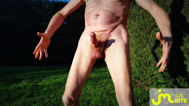 bites de Vxm&acirc;lebi46