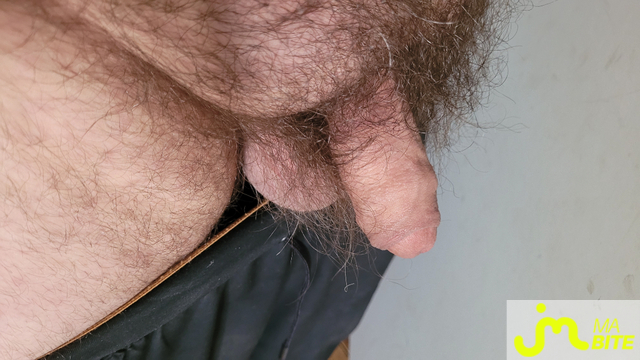 bites de Unpeudpiment