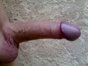 Photos de bites : Encore de belles &eacute;rections, profitons-en !