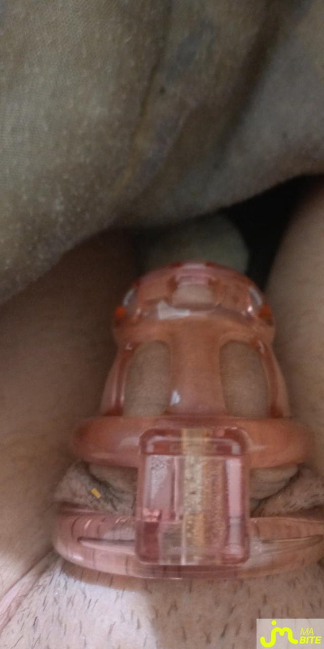 bites de Bite a humili&eacute; 