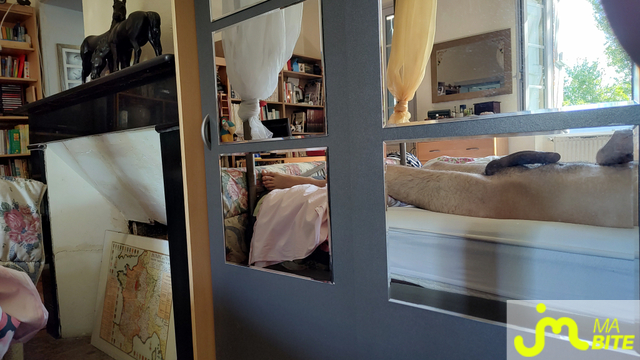 bites de AdoreMasser