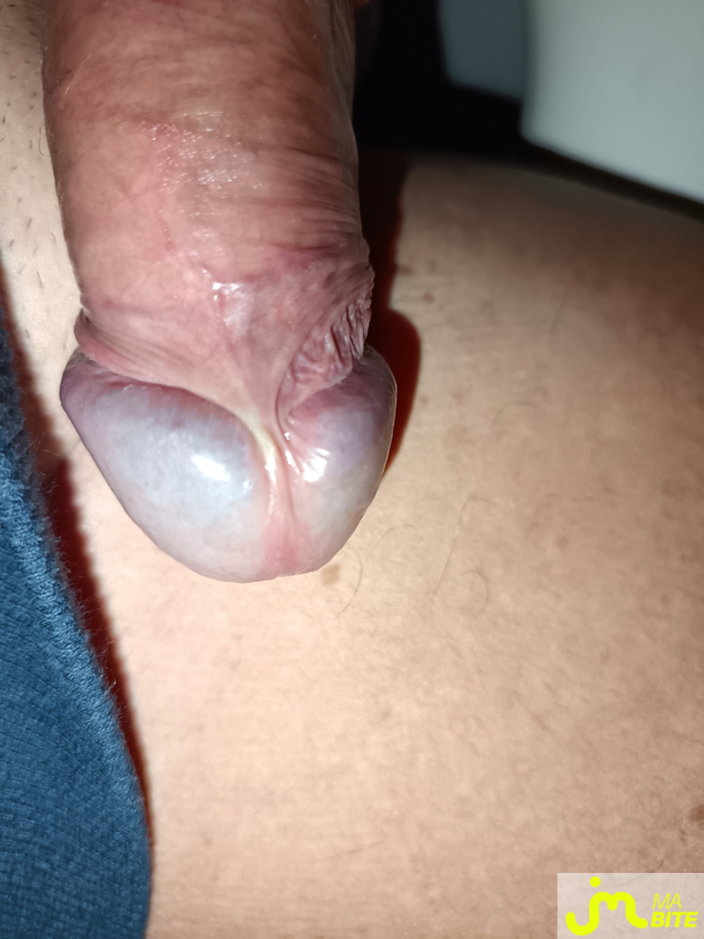 bites de Le Grand Houdini