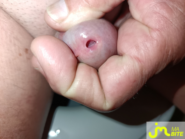 bites de Le Grand Houdini