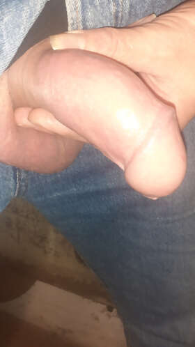 Photos de bites : Premier album 