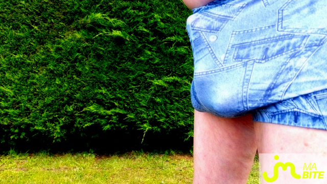 bites de Vxm&acirc;lebi46