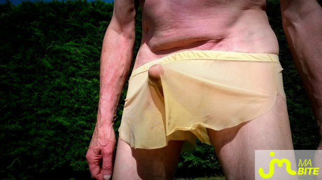 bites de Vxm&acirc;lebi46