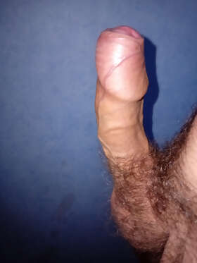 Photos de bites : Ma b&ucirc;che de No&euml;l ...