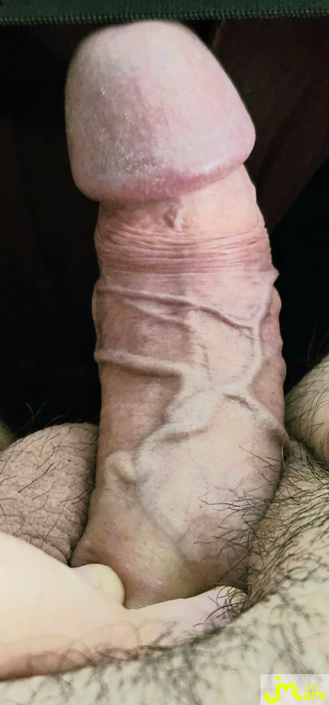 bites de gland_&agrave;_t&eacute;ter