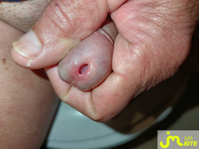 bites de Le Grand Houdini