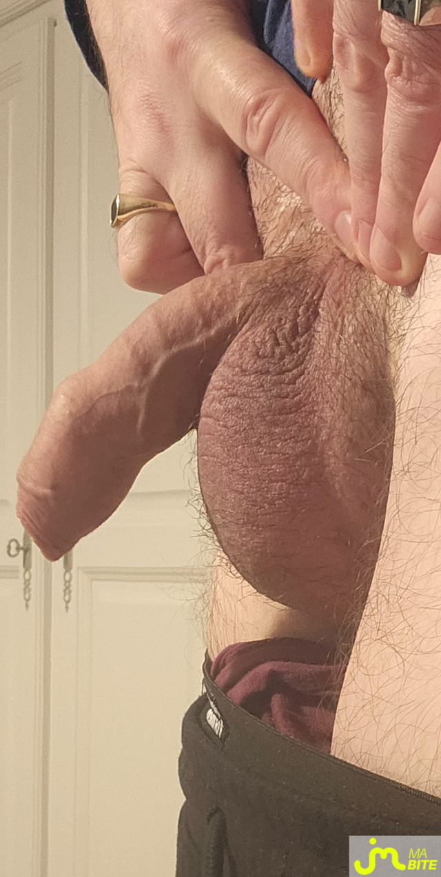 bites de gland_&agrave;_t&eacute;ter