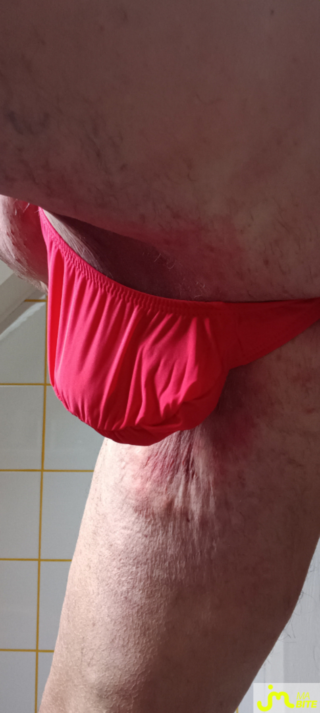 bites de Plastic 3157