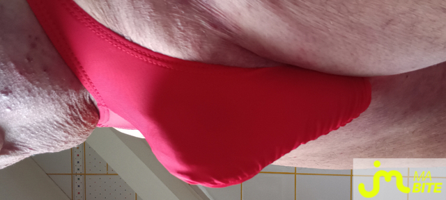 bites de Plastic 3157