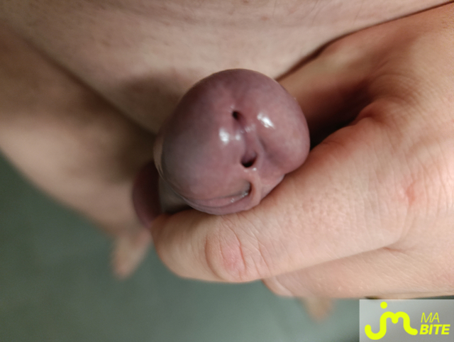 bites de Cycliste18cm