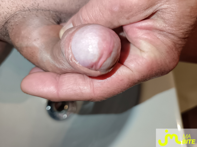 bites de Le Grand Houdini