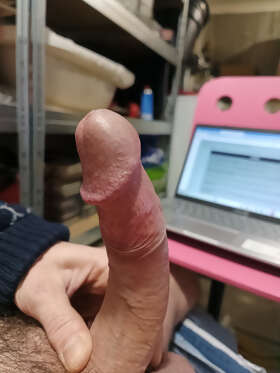 Photos de bites : Ma queue