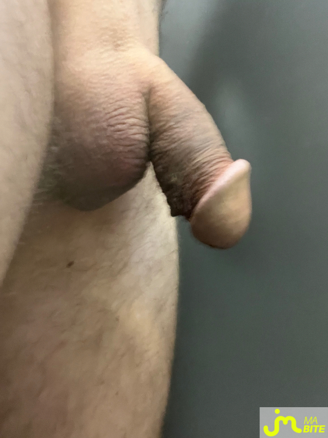 bites de Mau6950