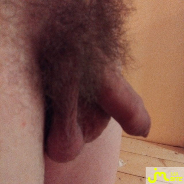 bites de boblebricoleur88