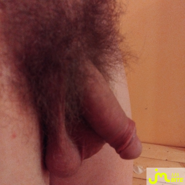 bites de boblebricoleur88