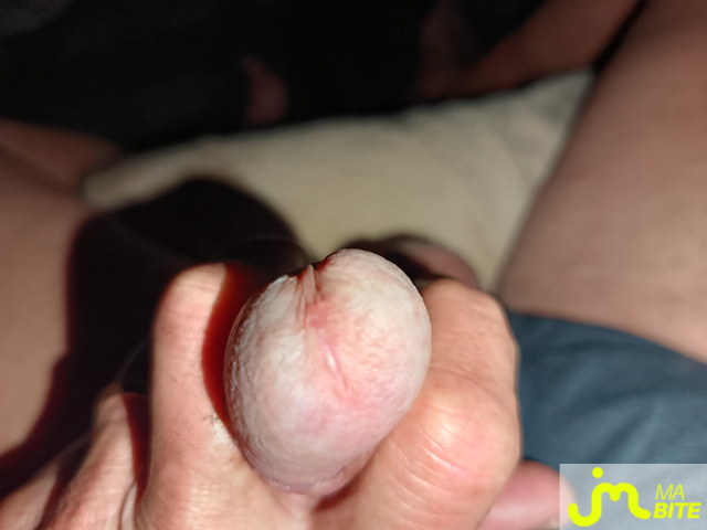 bites de Le Grand Houdini