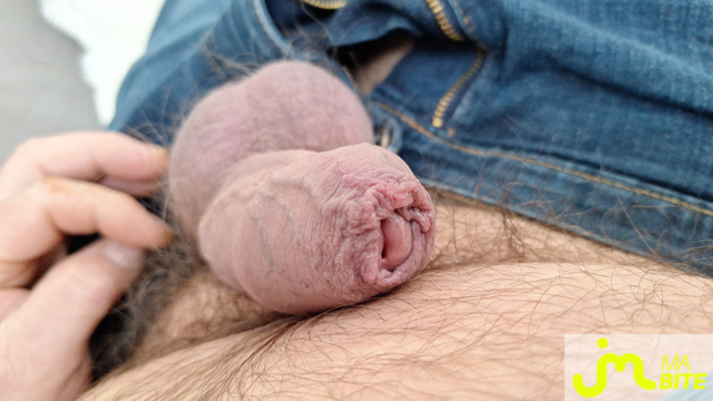 bites de Nicolas 68760