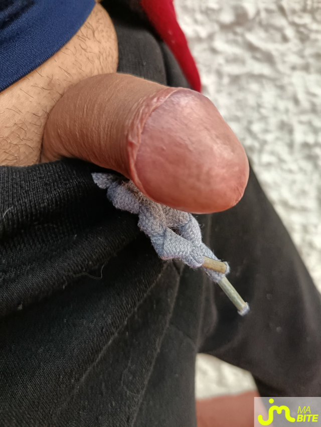 bites de Le Grand Houdini