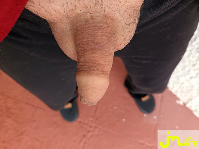 bites de Le Grand Houdini