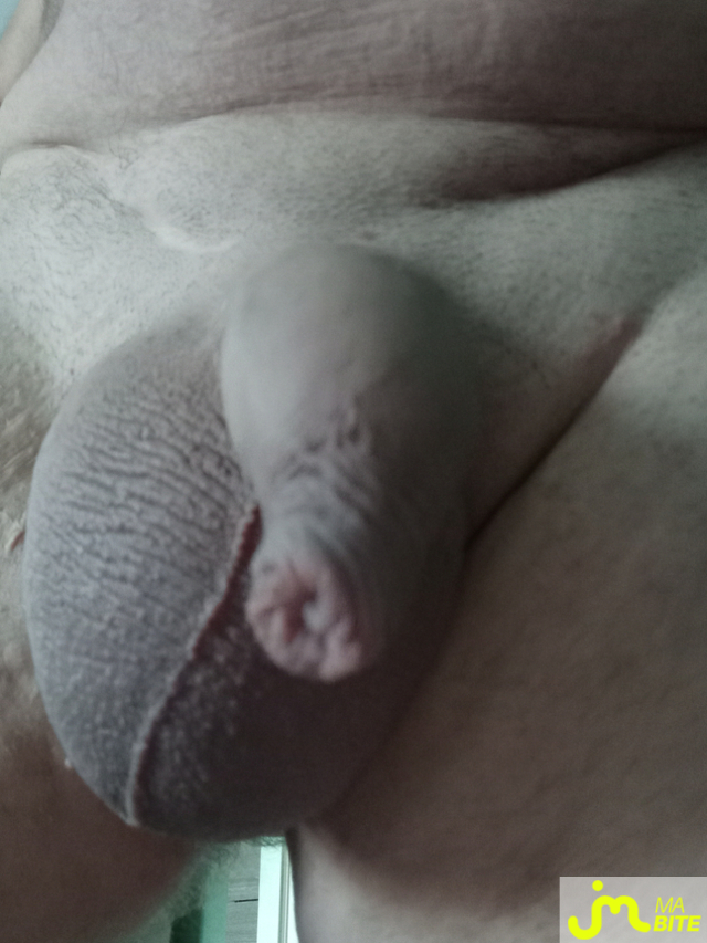 bites de Nounourse060