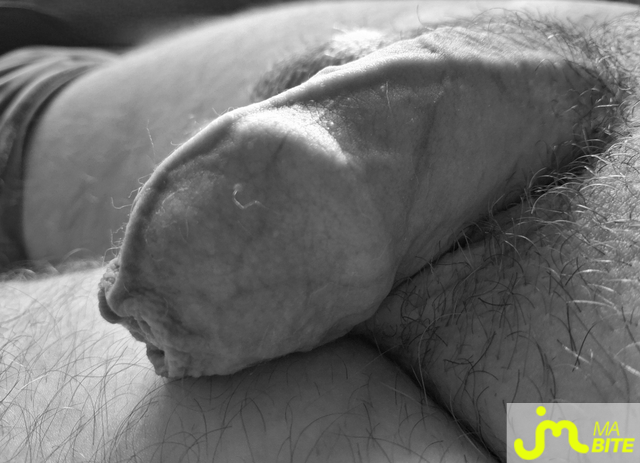 bites de Petitjouet76