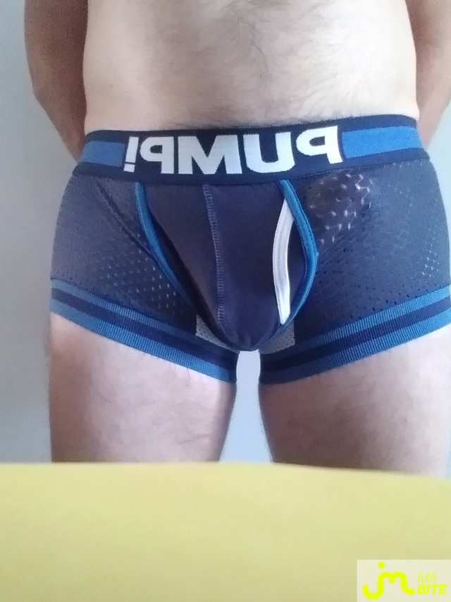 Photos de bites : H bi01