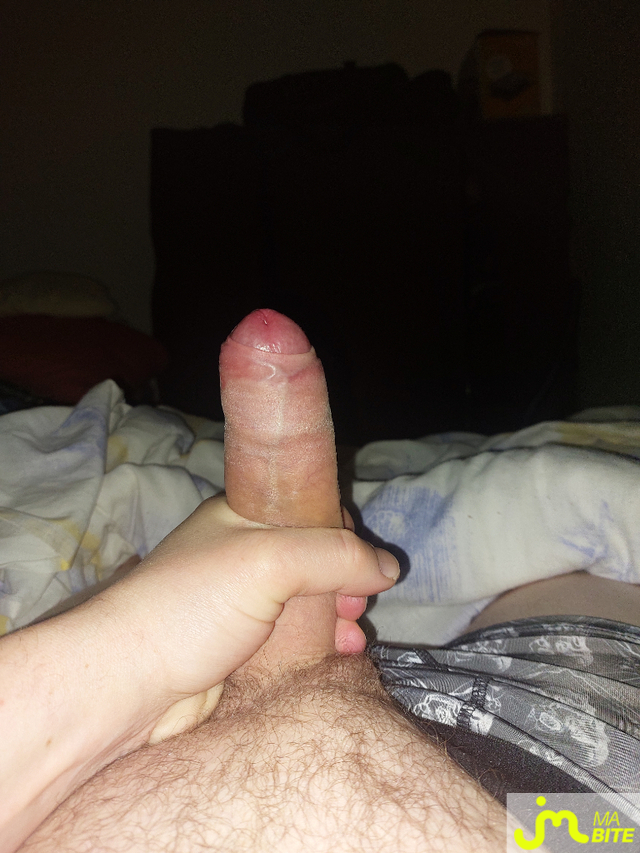 Photos de bites : Excit&eacute;