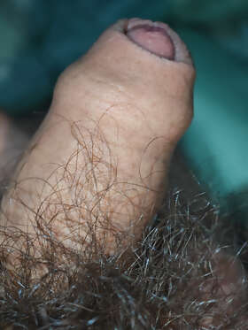 Photos de bites : Au repos bien au chaud 