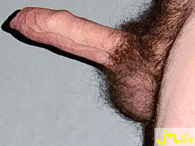 bites de Couplepoilu