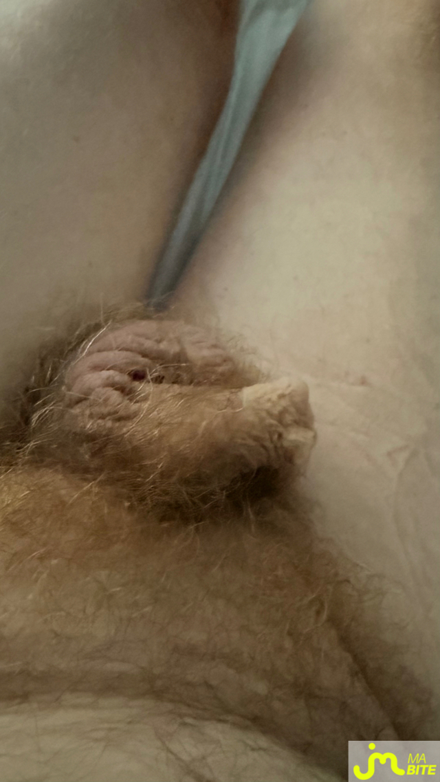 bites de Freddy50000