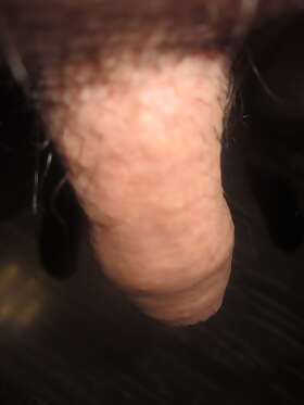 Photos de bites : Timide d&eacute;but