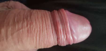 Photos de bites : Dispo