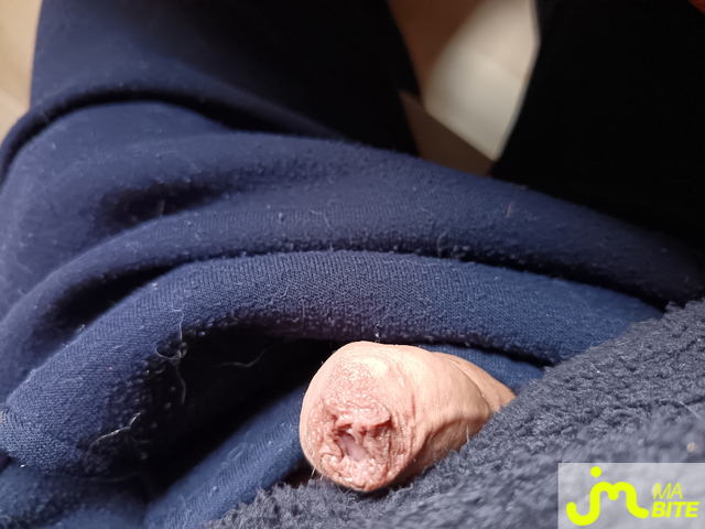 bites de Le Grand Houdini