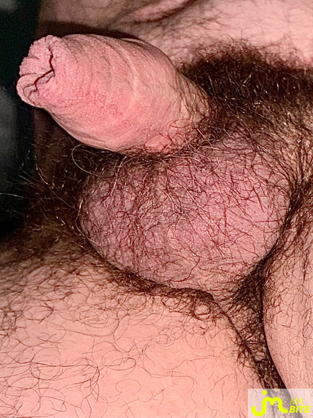 bites de Couplepoilu