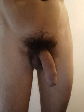 Photos de bites : Premi&egrave;re contribution 