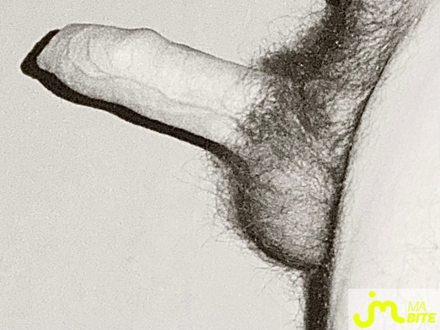 bites de Couplepoilu